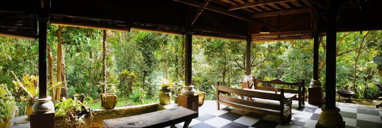 Happy Ria Homestay & Guesthouse Bukit Lawang Buitenkant foto