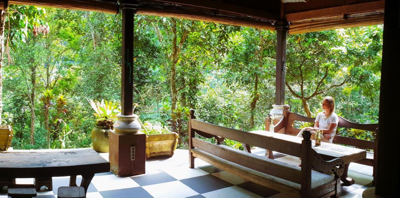 Happy Ria Homestay & Guesthouse Bukit Lawang Buitenkant foto